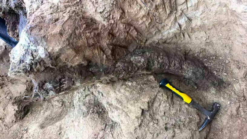 距今约20万年,内蒙古一地有重大发现 距今约20万年,内蒙古一地有重大发现