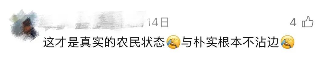 你刷到的“农村”,是真的吗? 你刷到的“农村”,是真的吗?