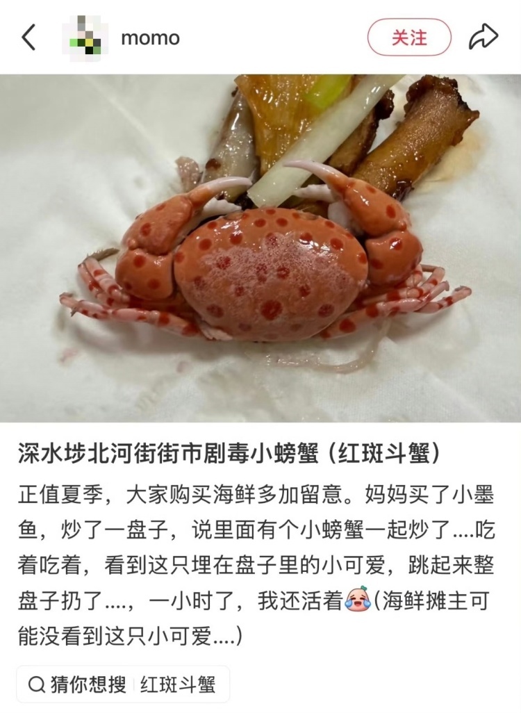 买海鲜混入毒蟹险酿大祸 螃蟹季食鲜小心这些海洋“毒物” 买海鲜混入毒蟹险酿大祸 螃蟹季食鲜小心这些海洋“毒物”