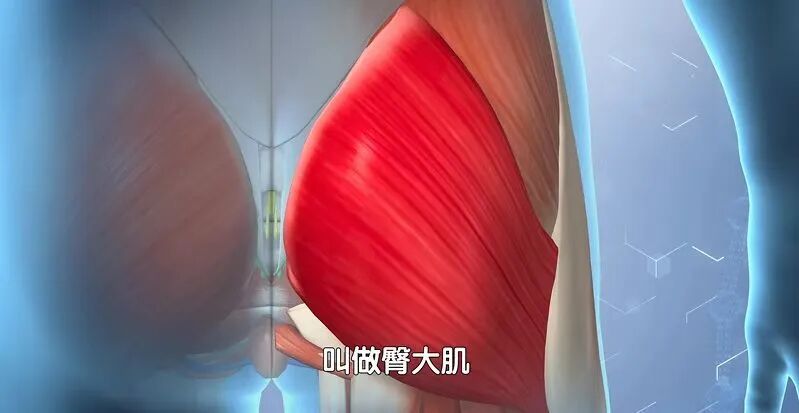 一个被严重低估的控糖小动作,30秒就起效!比走路更省力,腿脚都有劲了 一个被严重低估的控糖小动作,30秒就起效!比走路更省力,腿脚都有劲了