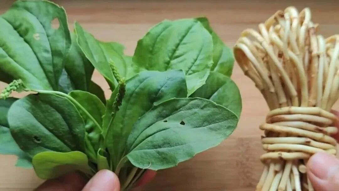 长期炎症会唤醒“癌细胞”!苹果加上它,秒变“天然消炎剂”,快喝起来~ 长期炎症会唤醒“癌细胞”!苹果加上它,秒变“天然消炎剂”,快喝起来~