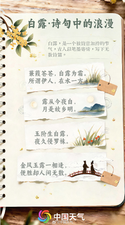 节气手账 | 凉风有信 白露为霜 节气手账 | 凉风有信 白露为霜