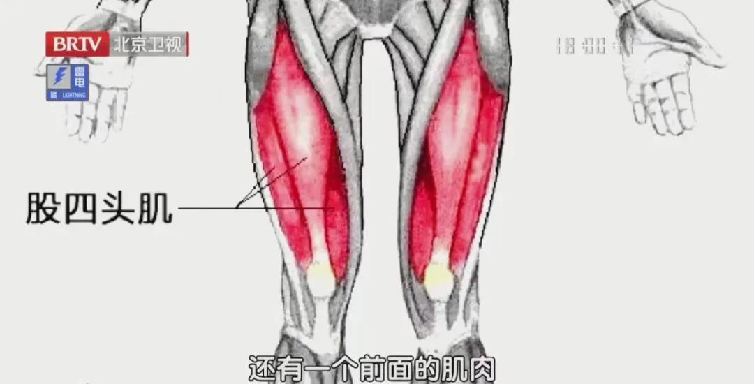 一个被严重低估的控糖小动作,30秒就起效!比走路更省力,腿脚都有劲了 一个被严重低估的控糖小动作,30秒就起效!比走路更省力,腿脚都有劲了