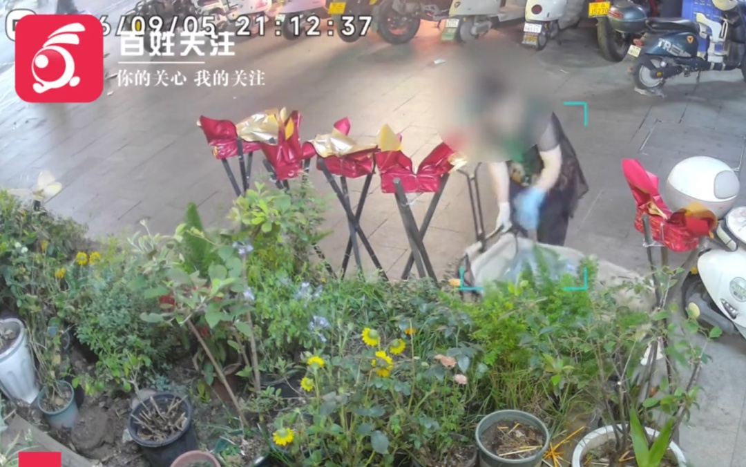 武汉一花店门口露营车被大妈拉走,店主:多次失窃未报警,这次不忍了 武汉一花店门口露营车被大妈拉走,店主:多次失窃未报警,这次不忍了