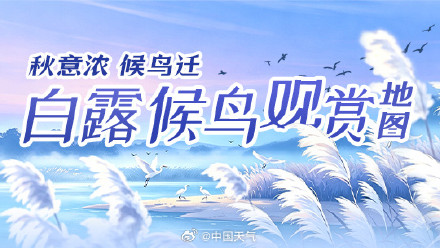 万鸟赴山海!白露观鸟地图带你打卡10个宝藏观测点 万鸟赴山海!白露观鸟地图带你打卡10个宝藏观测点