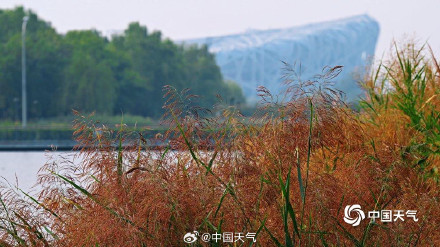 白露把夏天调成了秋天