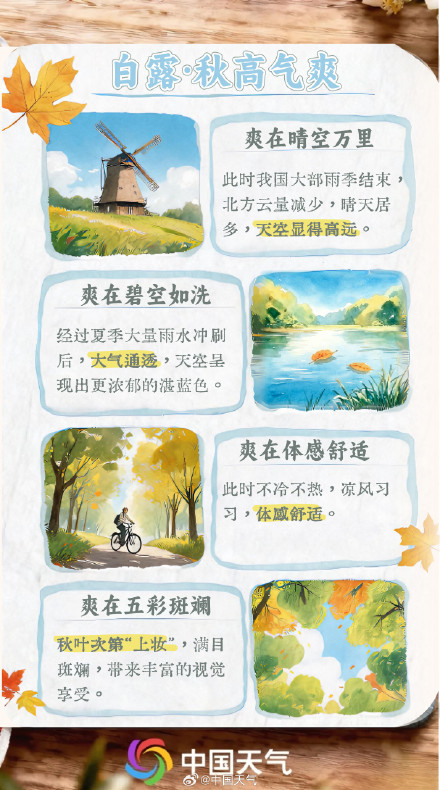 节气手账 | 凉风有信 白露为霜 节气手账 | 凉风有信 白露为霜
