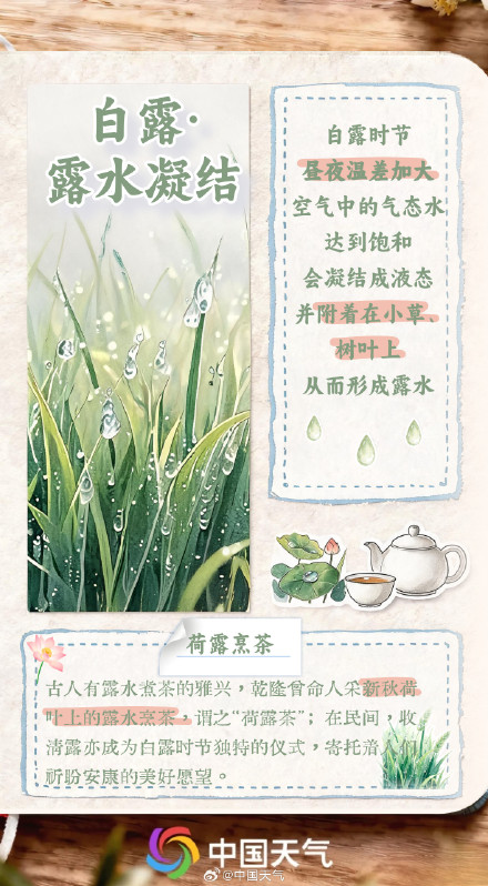 节气手账 | 凉风有信 白露为霜 节气手账 | 凉风有信 白露为霜