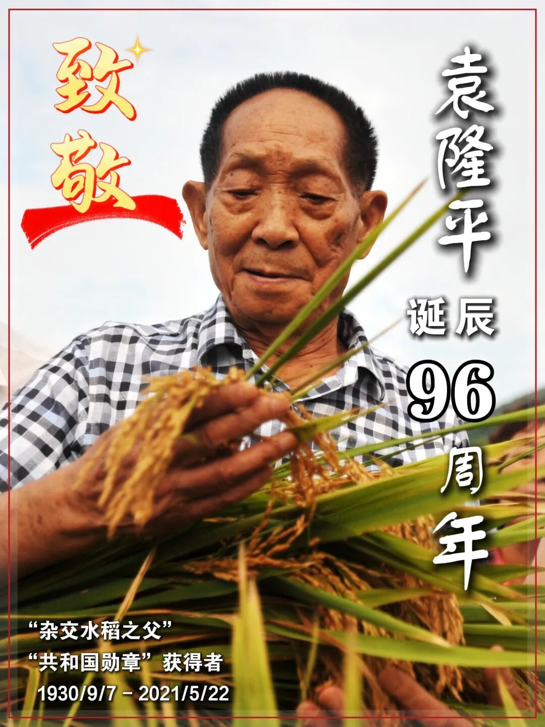今天，我们格外怀念您……