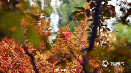 白露把夏天调成了秋天