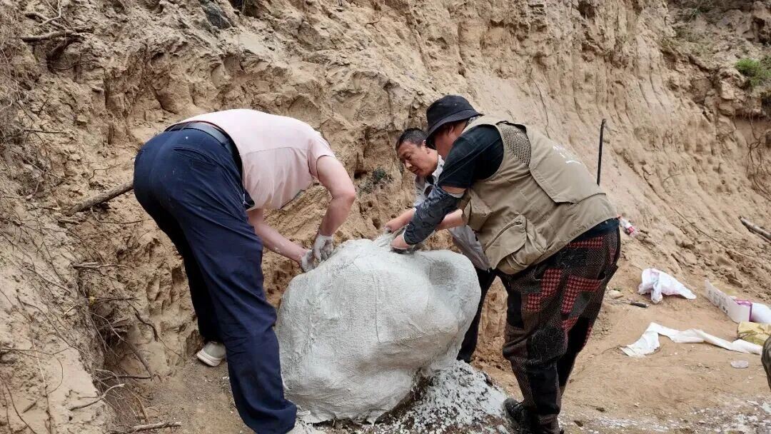 距今约20万年,内蒙古一地有重大发现 距今约20万年,内蒙古一地有重大发现