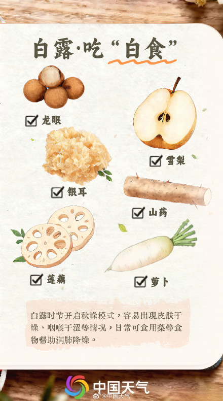 节气手账 | 凉风有信 白露为霜 节气手账 | 凉风有信 白露为霜