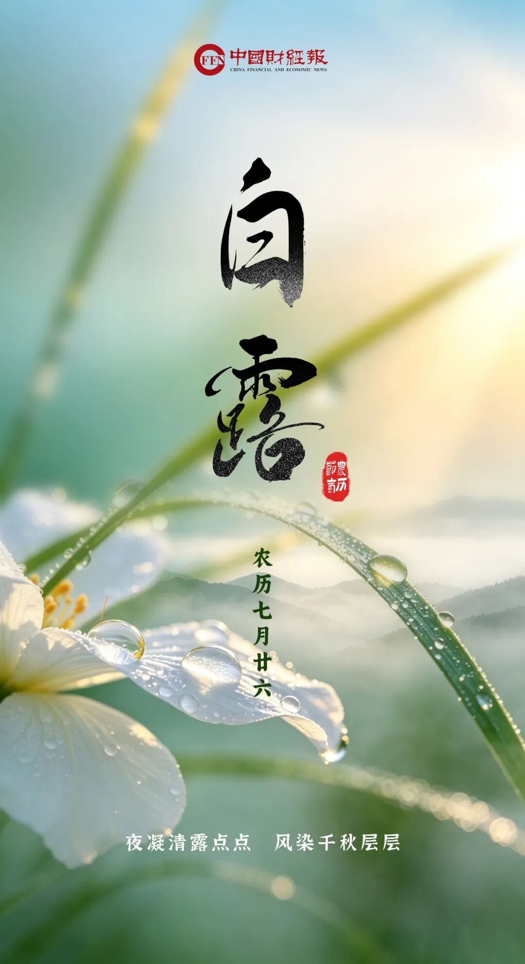 今日，白露