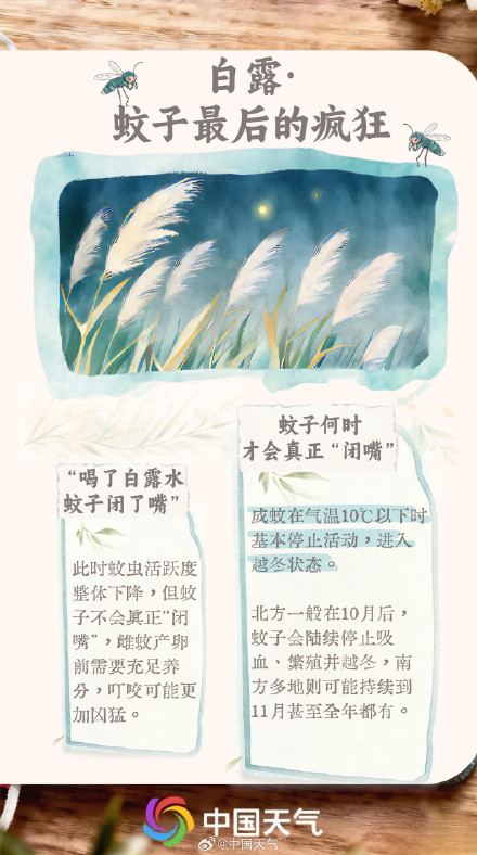 节气手账 | 凉风有信 白露为霜 节气手账 | 凉风有信 白露为霜