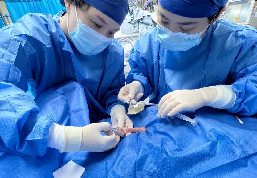 妈妈怀孕5个多月产下巴掌大宝宝,330克、肠道如发丝,105天后平安出院 妈妈怀孕5个多月产下巴掌大宝宝,330克、肠道如发丝,105天后平安出院