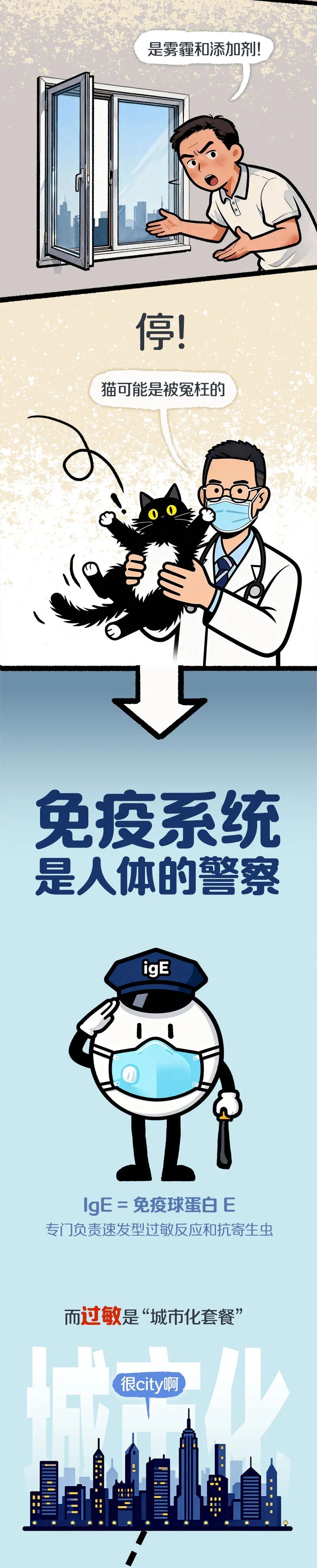 别急着扔猫!医生:过敏的锅,90%家庭甩错了对象 别急着扔猫!医生:过敏的锅,90%家庭甩错了对象