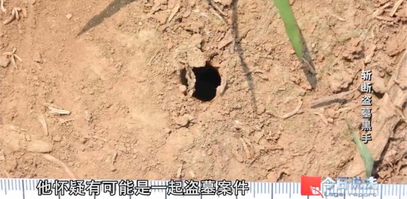 玉米地下清代古墓被盗,一条短信牵出系列案,追回284件千年文物 玉米地下清代古墓被盗,一条短信牵出系列案,追回284件千年文物