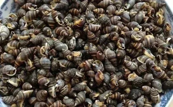 买海鲜混入毒蟹,其毒素少量即可致命!小心这些海洋“毒物”→ 买海鲜混入毒蟹,其毒素少量即可致命!小心这些海洋“毒物”→