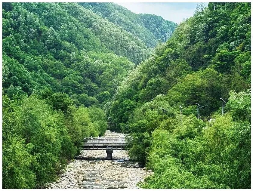 金牛道、米仓道、荔枝道……你有没有想过,古代的路是怎么延续下来的? 金牛道、米仓道、荔枝道……你有没有想过,古代的路是怎么延续下来的?