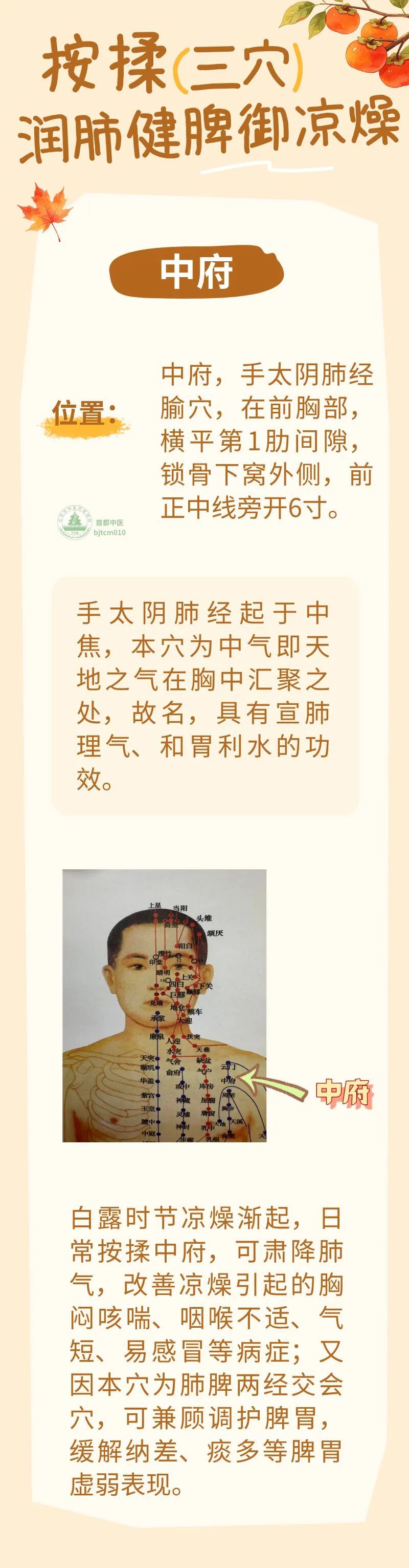 白露后燥气由温转凉,3个穴位坚持按揉,润肺、健脾、御凉燥 白露后燥气由温转凉,3个穴位坚持按揉,润肺、健脾、御凉燥