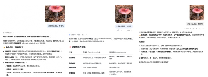 用AI鉴别毒蘑菇,结果人进了ICU……AI为啥会掉链子? 用AI鉴别毒蘑菇,结果人进了ICU……AI为啥会掉链子?