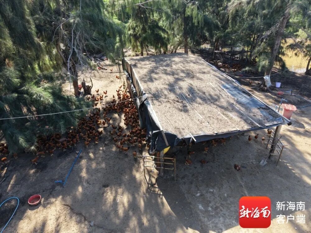 把水厂“埋”进地下17米！看海南供地“工具箱”装了多少招