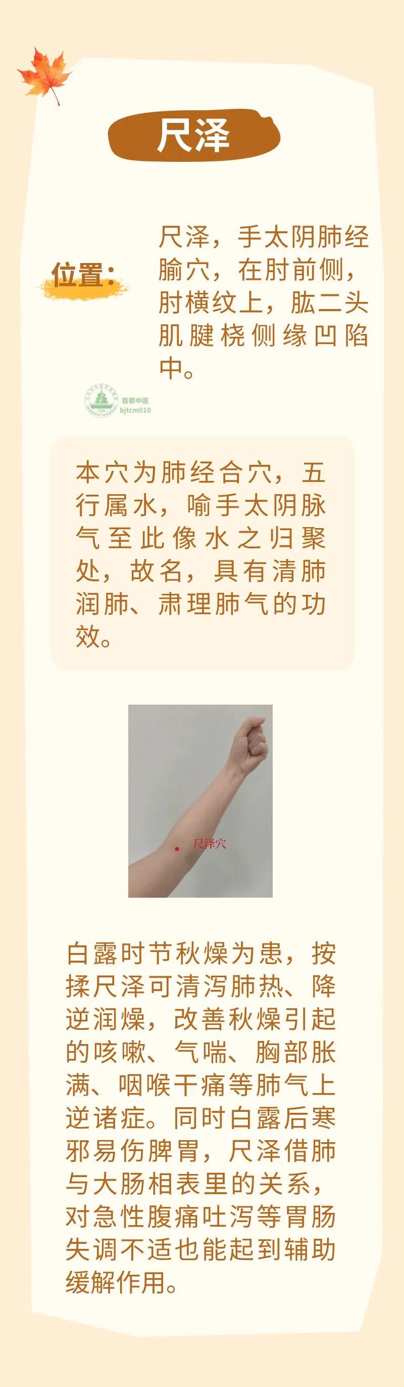 白露后燥气由温转凉,3个穴位坚持按揉,润肺、健脾、御凉燥 白露后燥气由温转凉,3个穴位坚持按揉,润肺、健脾、御凉燥