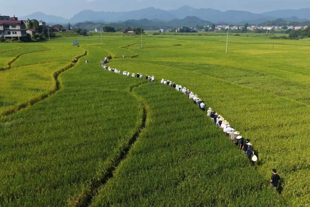 530.4公斤,刷新世界纪录!网友:袁爷爷一定看到了 530.4公斤,刷新世界纪录!网友:袁爷爷一定看到了