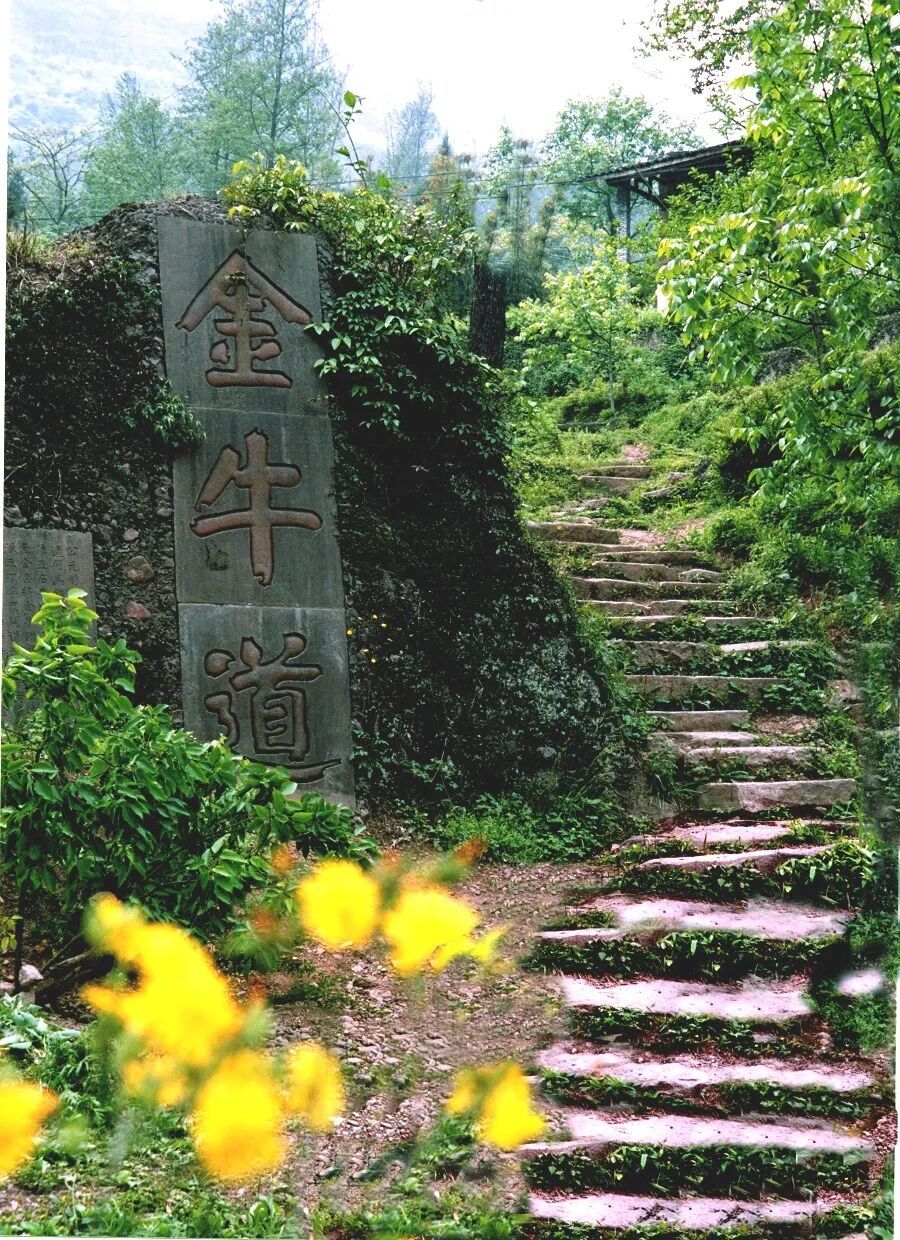 金牛道、米仓道、荔枝道……你有没有想过,古代的路是怎么延续下来的? 金牛道、米仓道、荔枝道……你有没有想过,古代的路是怎么延续下来的?