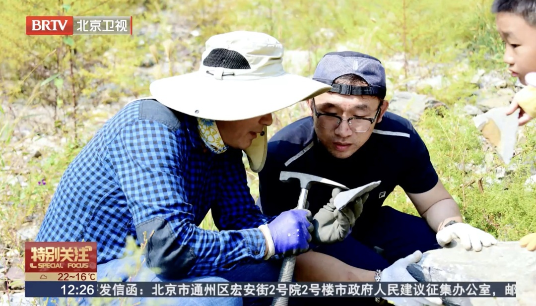 北京一公园假山上,发现5亿年前的化石?专家说—— 北京一公园假山上,发现5亿年前的化石?专家说——
