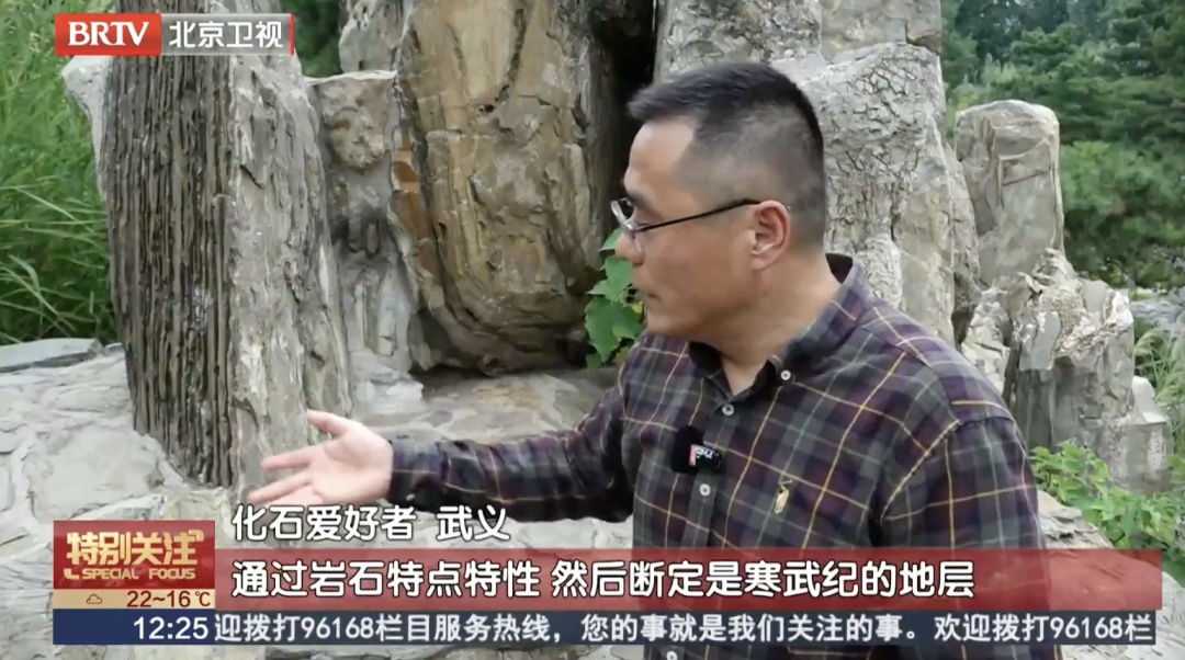 北京一公园假山上,发现5亿年前的化石?专家说—— 北京一公园假山上,发现5亿年前的化石?专家说——