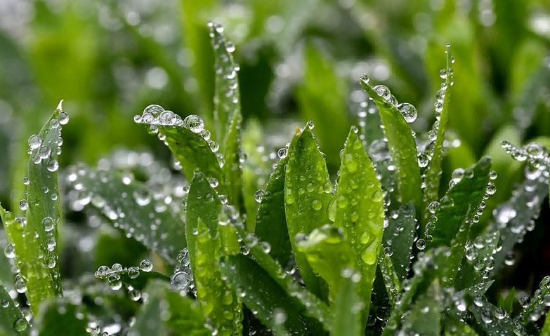 问康有道｜白露节气养生 牢记“防寒润燥”四字诀