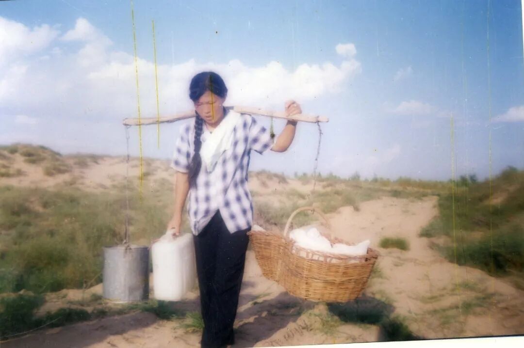 26年的惦念，等来10天的重逢，“我想找你种一棵树”