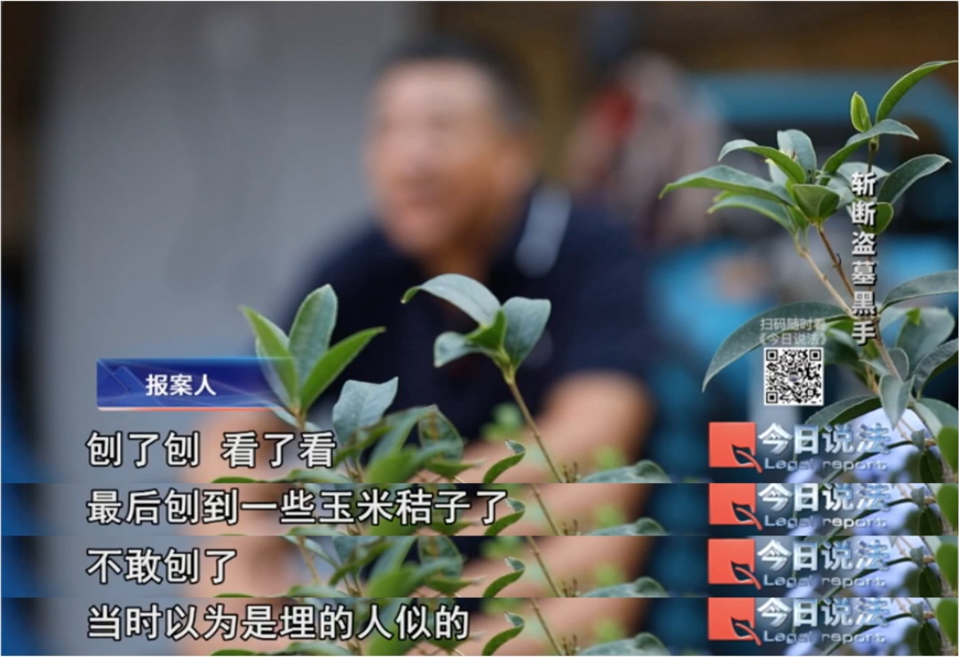 玉米地下清代古墓被盗,一条短信牵出系列案,追回284件千年文物 玉米地下清代古墓被盗,一条短信牵出系列案,追回284件千年文物
