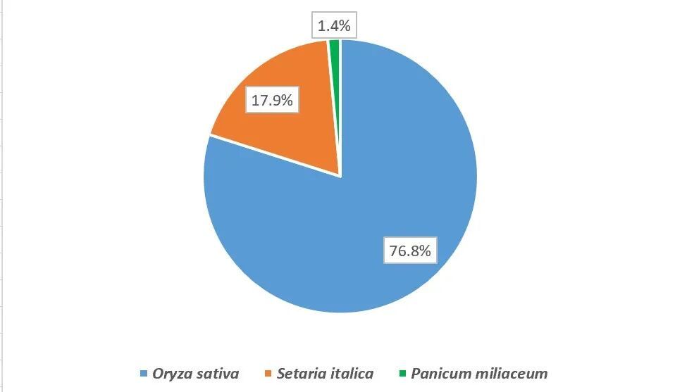 三千年前古蜀人吃什么?金沙遗址最新考古成果公布 三千年前古蜀人吃什么?金沙遗址最新考古成果公布