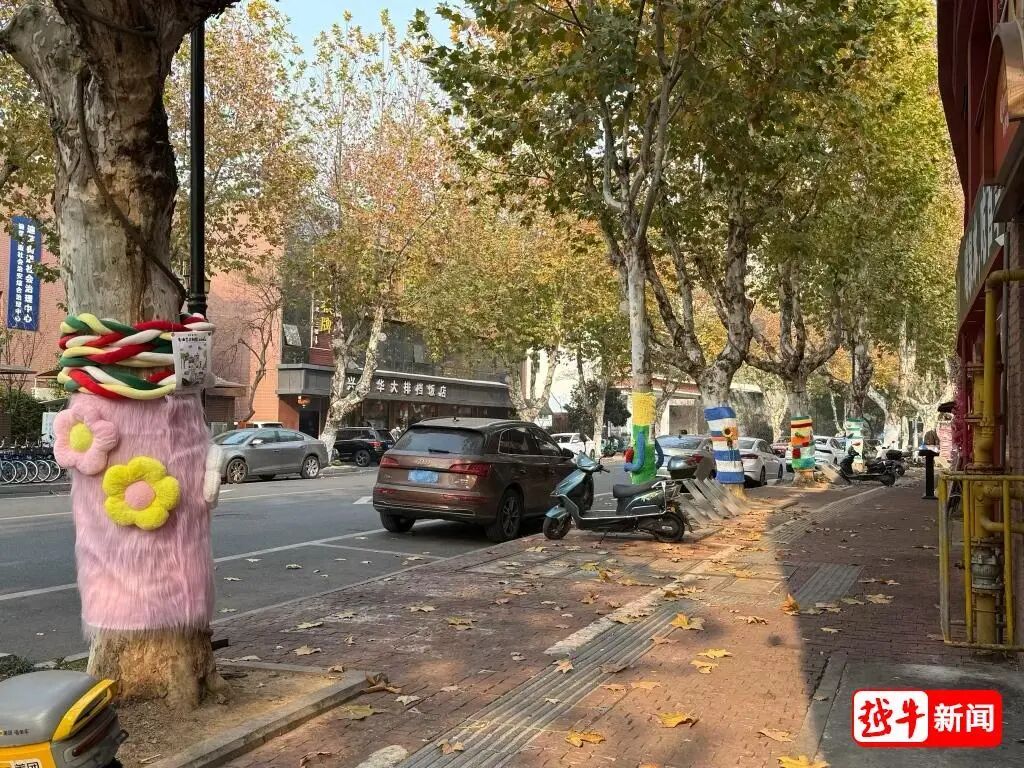 绍兴街头呆萌“兔子树画”,是艺术还是破坏?有关部门回应 绍兴街头呆萌“兔子树画”,是艺术还是破坏?有关部门回应