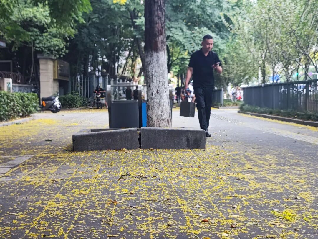 赶紧关窗!冷空气已抵达武汉,网友:冻得瑟瑟发抖 赶紧关窗!冷空气已抵达武汉,网友:冻得瑟瑟发抖
