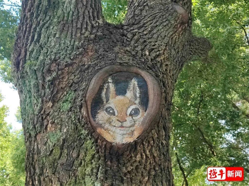 绍兴街头呆萌“兔子树画”,是艺术还是破坏?有关部门回应 绍兴街头呆萌“兔子树画”,是艺术还是破坏?有关部门回应