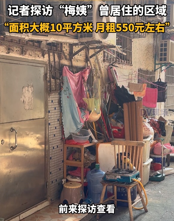 “梅姨”落网地曝光:被捕前和“儿子”租住在10平米单间内 “梅姨”落网地曝光:被捕前和“儿子”租住在10平米单间内