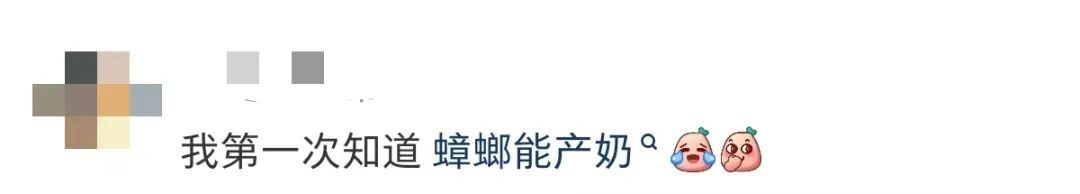 “蟑螂奶”来了?广东人惊呼:瞳孔地震…… “蟑螂奶”来了?广东人惊呼:瞳孔地震……