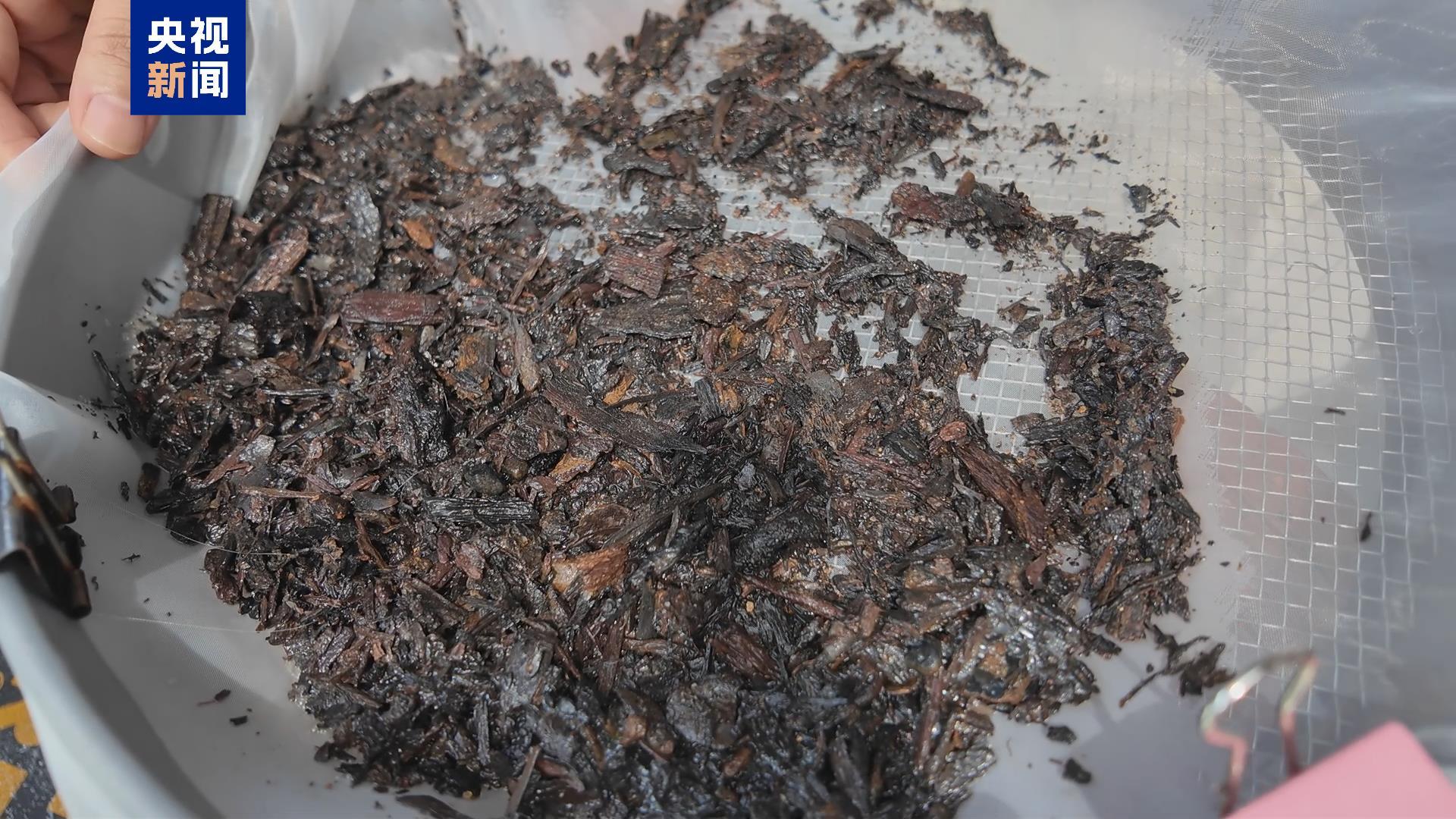 还原古蜀先民饮食结构 金沙遗址植物考古有了新成果 还原古蜀先民饮食结构 金沙遗址植物考古有了新成果