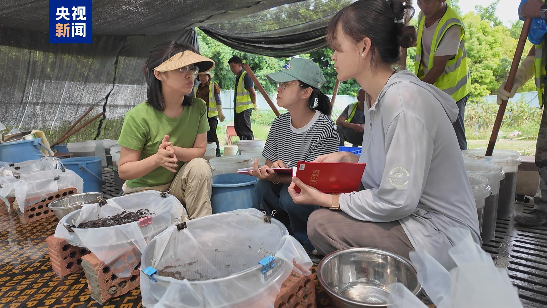 还原古蜀先民饮食结构 金沙遗址植物考古有了新成果 还原古蜀先民饮食结构 金沙遗址植物考古有了新成果