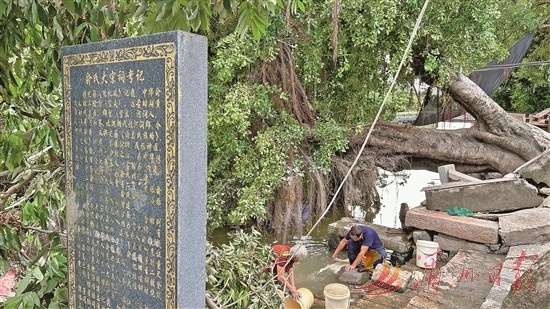 大水过后,福建街头巷尾最响亮的,是这个字 大水过后,福建街头巷尾最响亮的,是这个字