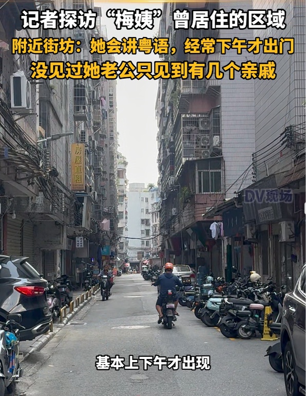 “梅姨”落网地曝光:被捕前和“儿子”租住在10平米单间内 “梅姨”落网地曝光:被捕前和“儿子”租住在10平米单间内