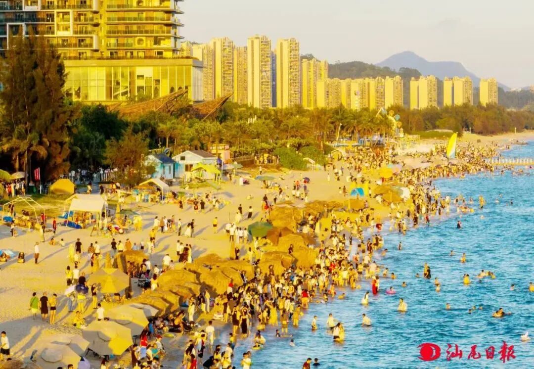 广东一海滩惊现长蛇!专家确认:有游泳能力,可潜入海水短暂活动 广东一海滩惊现长蛇!专家确认:有游泳能力,可潜入海水短暂活动