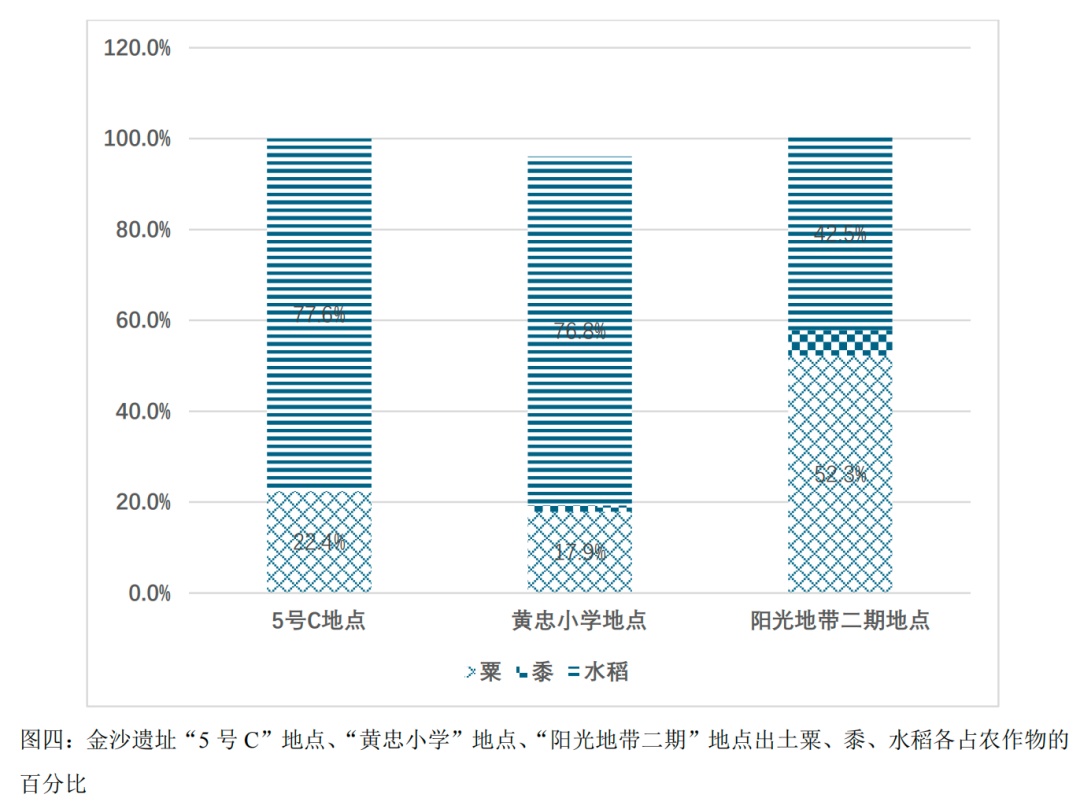三千年前金沙先民以何为主食?研究发现:水稻为主、粟黍为辅 三千年前金沙先民以何为主食?研究发现:水稻为主、粟黍为辅