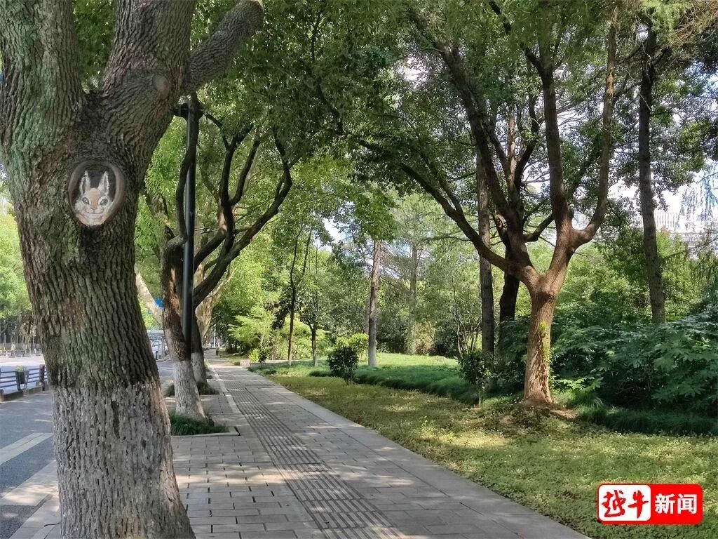 绍兴街头呆萌“兔子树画”,是艺术还是破坏?有关部门回应 绍兴街头呆萌“兔子树画”,是艺术还是破坏?有关部门回应