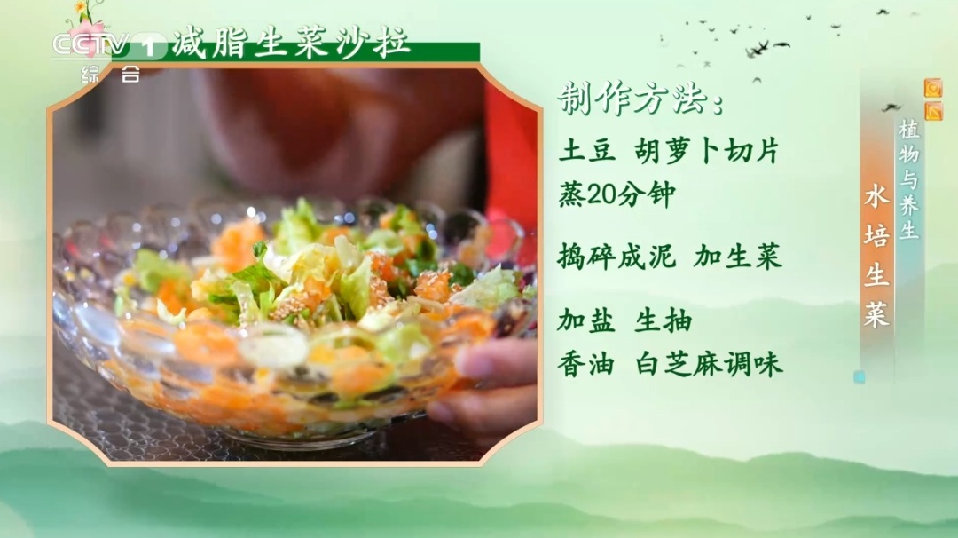 吃剩的这个“菜根”别扔!泡进清水还能长新叶,不用泥土,窗台变身小菜园 吃剩的这个“菜根”别扔!泡进清水还能长新叶,不用泥土,窗台变身小菜园