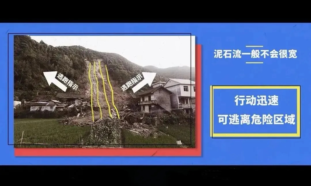 多看一眼，救了216人！