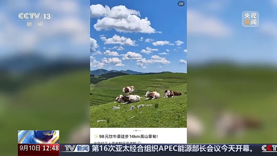 轻信网红徒步攻略轻松到“孩子都能走”，女子午后独自进山后迷路遇险，15人救援队7小时连夜营救脱险；各地已发生多起